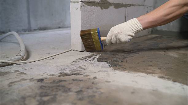 SJ Waterproofing Pros Waterproofing coverage map for Savannah, NY and surrounding area